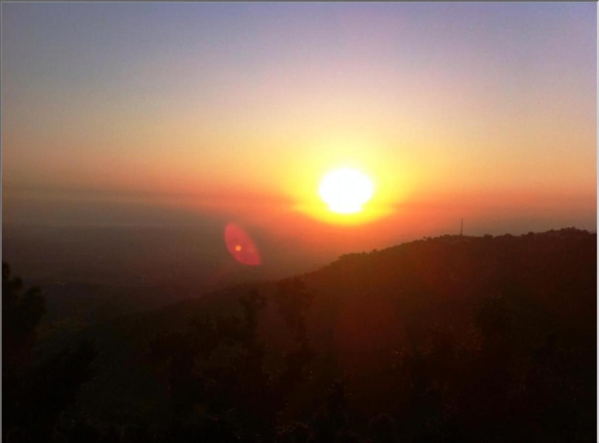 The Horizon Villa South Dharamshala Esterno foto